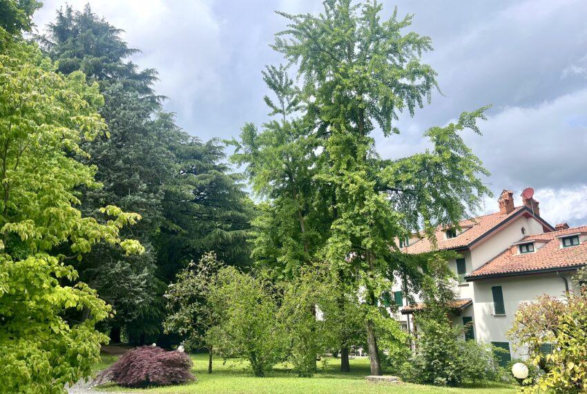 giardino.5